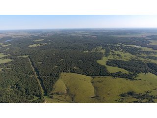 NORTH END TRACT 9, LOOKING SOUTH - LARGE KANSAS AUCTION - 7,672+/- ACRES OFFERED IN 12 TRACTS IN CHAUTAUQUA COUNTY, KANSAS
